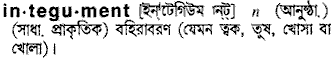 Integument in Bangla Academy Dictionary