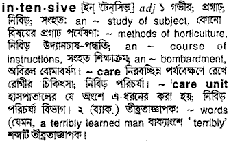 Intensive in Bangla Academy Dictionary