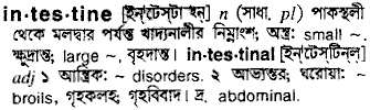 Intestine in Bangla Academy Dictionary