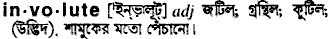 Involute in Bangla Academy Dictionary