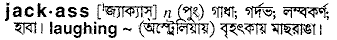 Jackass in Bangla Academy Dictionary