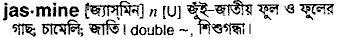 Jasmine in Bangla Academy Dictionary