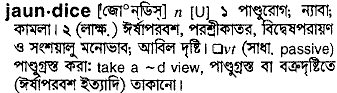 Jaundice in Bangla Academy Dictionary