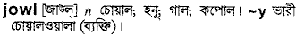 Jowl in Bangla Academy Dictionary