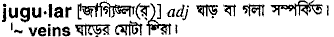 Jugular in Bangla Academy Dictionary