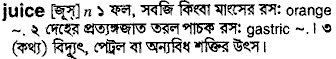 Juice in Bangla Academy Dictionary