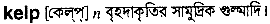 Kelp in Bangla Academy Dictionary