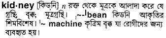 Kidney in Bangla Academy Dictionary