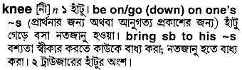 Knee in Bangla Academy Dictionary