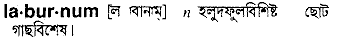 Laburnum in Bangla Academy Dictionary