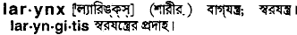 Larynx in Bangla Academy Dictionary