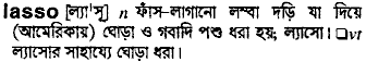 Lasso in Bangla Academy Dictionary