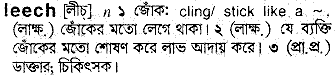 Leech in Bangla Academy Dictionary