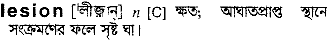 Lesion in Bangla Academy Dictionary