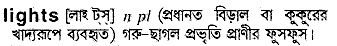 Lights in Bangla Academy Dictionary