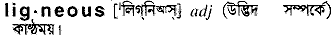 Ligneous in Bangla Academy Dictionary