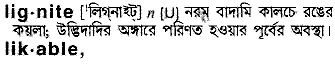 Lignite in Bangla Academy Dictionary