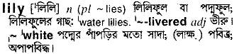 Lily in Bangla Academy Dictionary