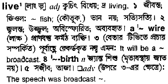 Live in Bangla Academy Dictionary