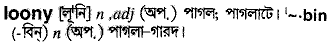 Loony in Bangla Academy Dictionary