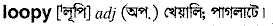 Loopy in Bangla Academy Dictionary