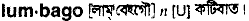 Lumbago in Bangla Academy Dictionary