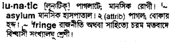 Lunatic in Bangla Academy Dictionary