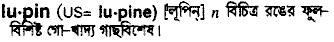 Lupin in Bangla Academy Dictionary