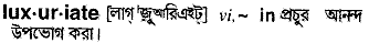 Luxuriate in Bangla Academy Dictionary