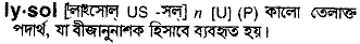 Lysol in Bangla Academy Dictionary
