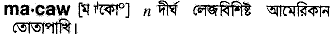 Macaw in Bangla Academy Dictionary