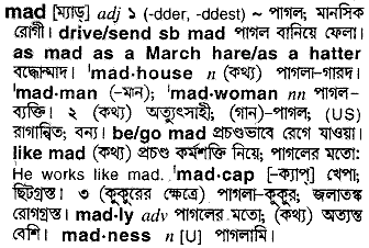 Mad in Bangla Academy Dictionary
