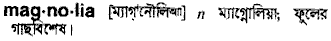 Magnolia in Bangla Academy Dictionary