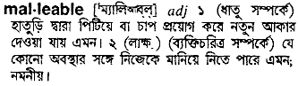 Malleable in Bangla Academy Dictionary