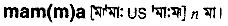 Mama in Bangla Academy Dictionary