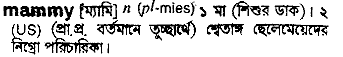 Mammy in Bangla Academy Dictionary