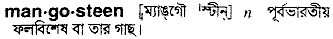 Mangosteen in Bangla Academy Dictionary