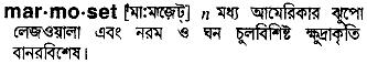 Marmoset in Bangla Academy Dictionary