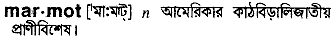 Marmot in Bangla Academy Dictionary