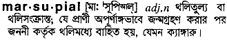 Marsupial in Bangla Academy Dictionary