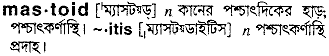 Mastoid in Bangla Academy Dictionary