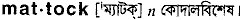 Mattock in Bangla Academy Dictionary