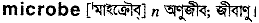 Microbe in Bangla Academy Dictionary