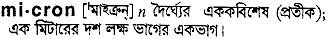 Micron in Bangla Academy Dictionary