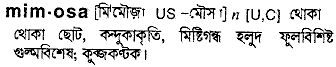 Mimosa in Bangla Academy Dictionary