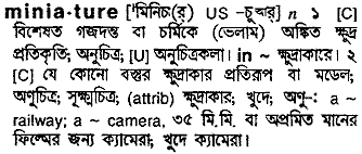 Miniature in Bangla Academy Dictionary