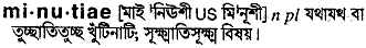 Minutiae in Bangla Academy Dictionary