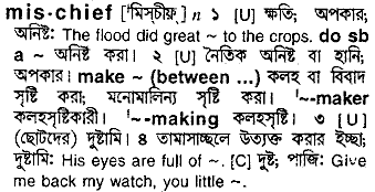 Mischief in Bangla Academy Dictionary
