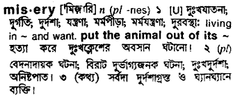 Misery in Bangla Academy Dictionary