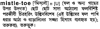 Mistletoe in Bangla Academy Dictionary